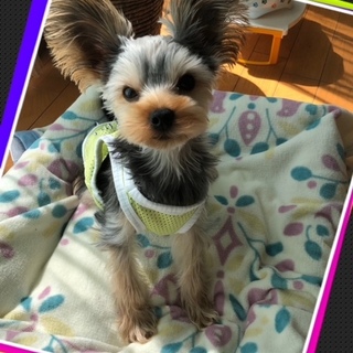 幸せになりました♡有難うございます