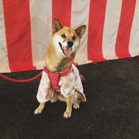 あずき