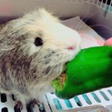 やむを得ない理由で、、、
