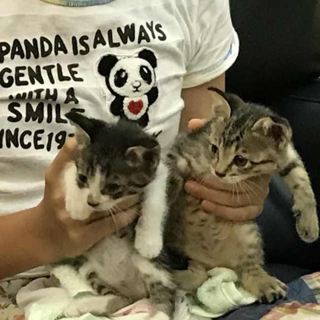 niko☆のカバー写真