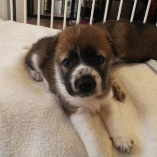 ★モフモフ！ぷっくり可愛い男の子★