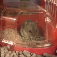 あお
