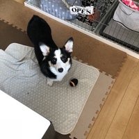 心絆