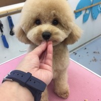 心