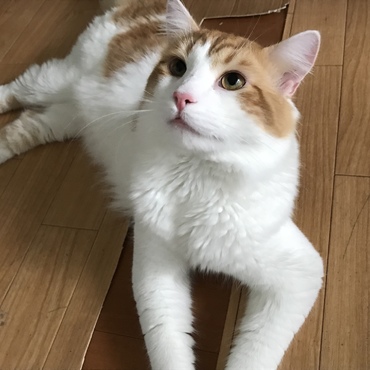 一緒にいてくれてありがとう