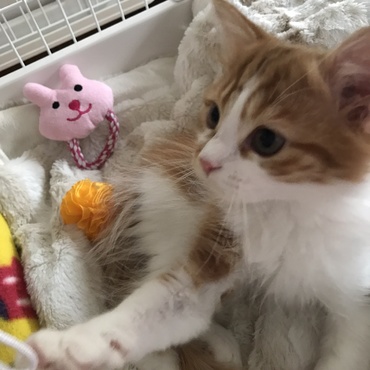 いつもありがとうね