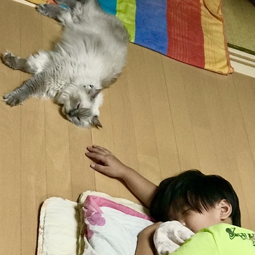 同じ形で寝てる仲良しコンビ
