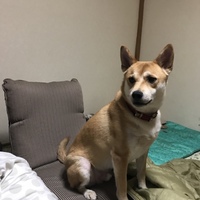 こたろう