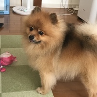 くー