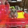 の写真