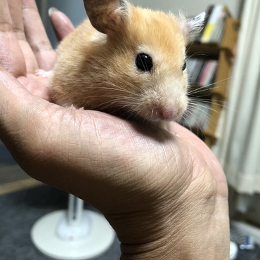 の写真