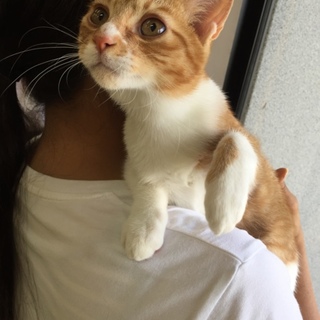 私の 大好きなニフくん❤︎