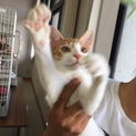 ボク人間が大好きなんです(*´∇｀*)