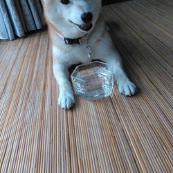 北海道の地震……