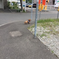 はると