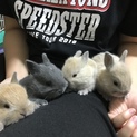 8月20日生里親様決定！