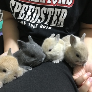 8月20日生里親様決定！