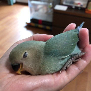 至福のひと時(*´ｪ｀*)
