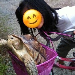 「ポルナレフ編」サムネイル2