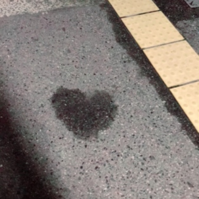 mayu_0515のカバー写真