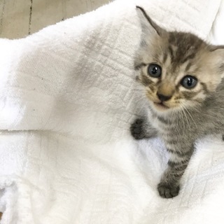 里親さん決定しました！