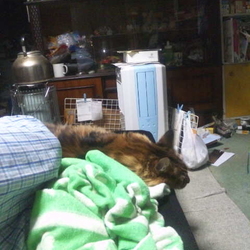 「地震の被災生活３日目」サムネイル2