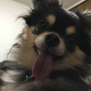 ベロが長くて出すぎw