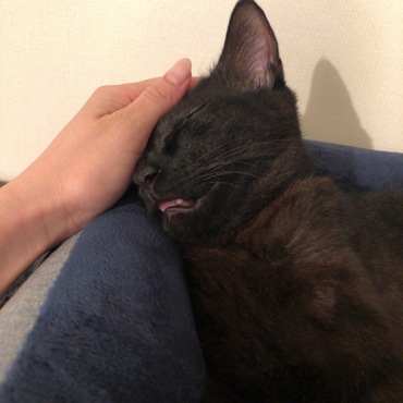 よしよし