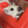 さっつん0022