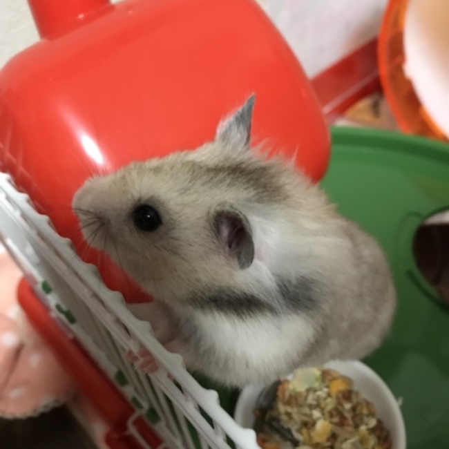 さっつん0022のカバー写真