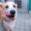 大人しい女の子と、甘えん坊男の子です！