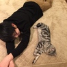 つなひ