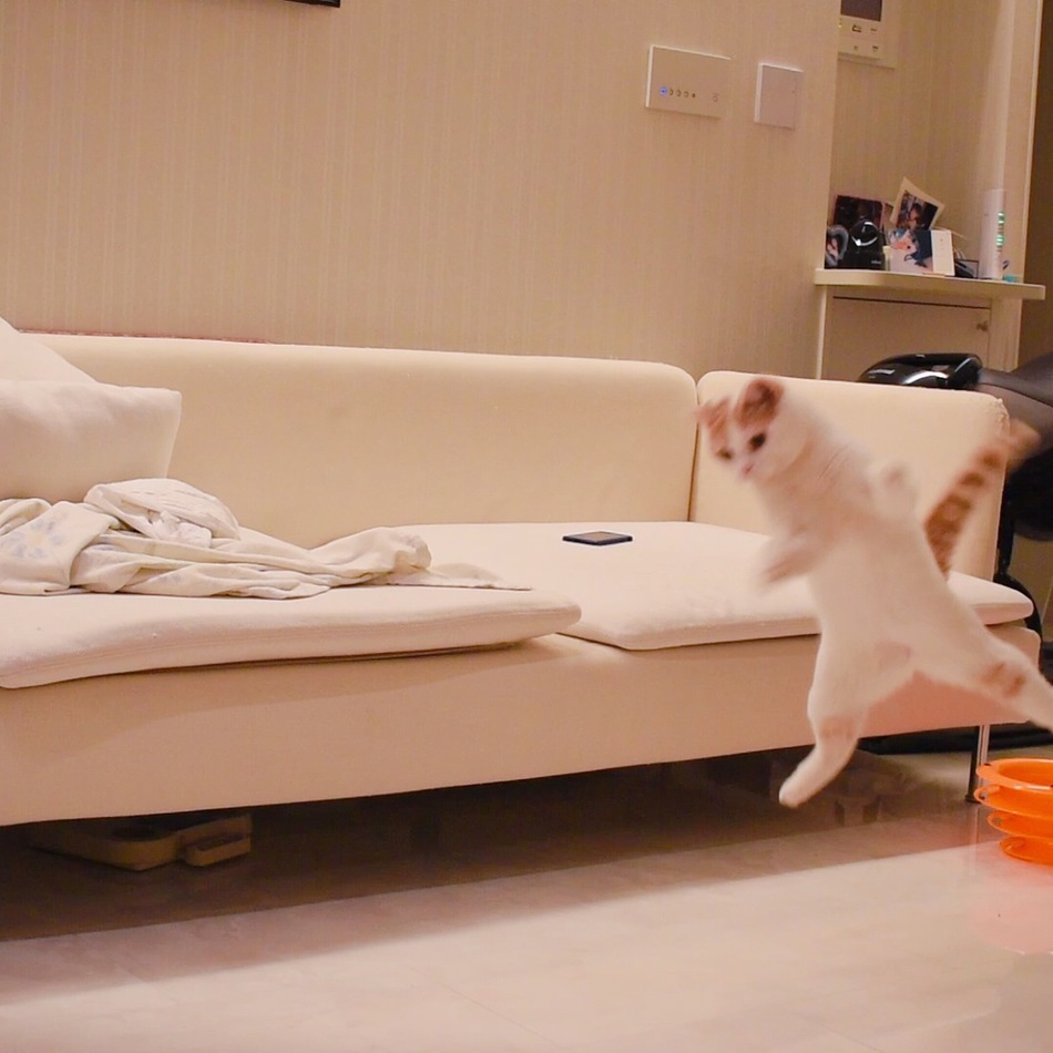 Tiffanyのカバー写真