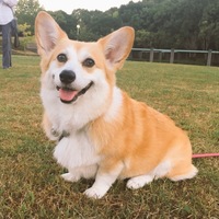 ベス