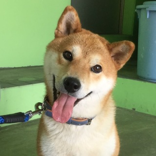 エン君トライアル決定