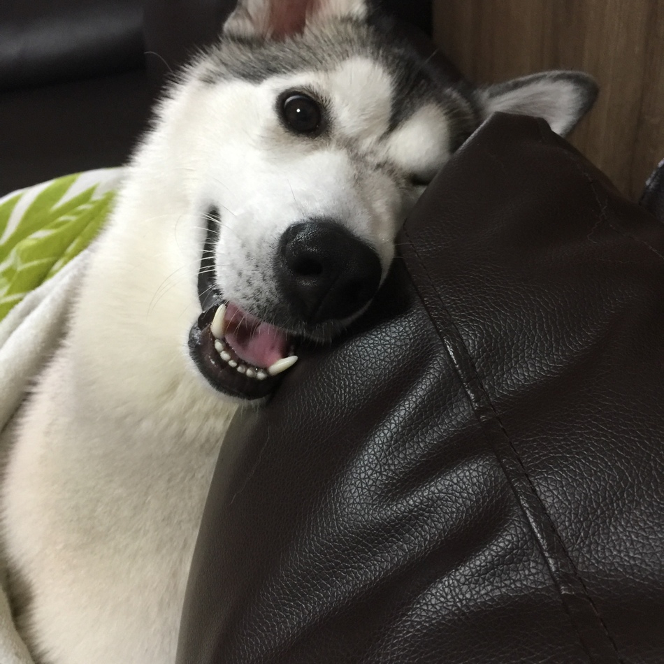 angeのカバー写真
