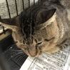 里親様が決まりました♡有り難うございました！ サムネイル2