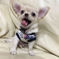 くぅ