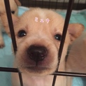 ミュウちゃん♡ １ヶ月