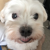 マーク