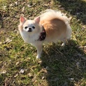 家族としてお願いします。