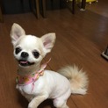 家族として可愛いがって頂ける方