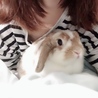 うさぴょんほの