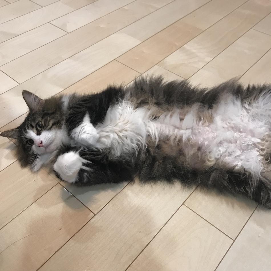 くららのカバー写真
