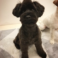 ルフト
