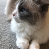 みくたす