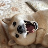 かずみんんん
