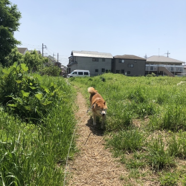かずみんんんのカバー写真