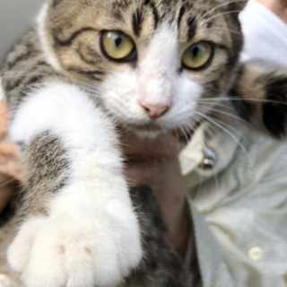 ありがとうございました！