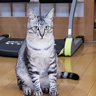 とても甘えん坊です。！！仲介